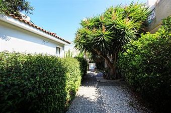 Apartamento Julipapas Gardens