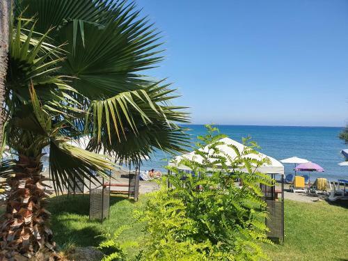 Posada Andreas & Melanie Beach Hotel