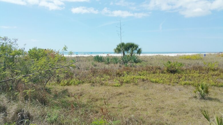 Friendly Native Beach Resort