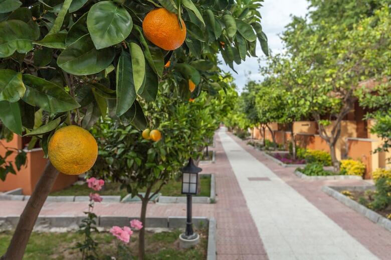 Hotel Ozlem Garden - All Inclusive