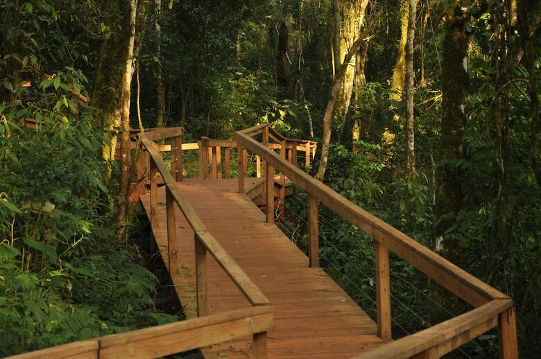 Posada Mocona Virgin Lodge By Don