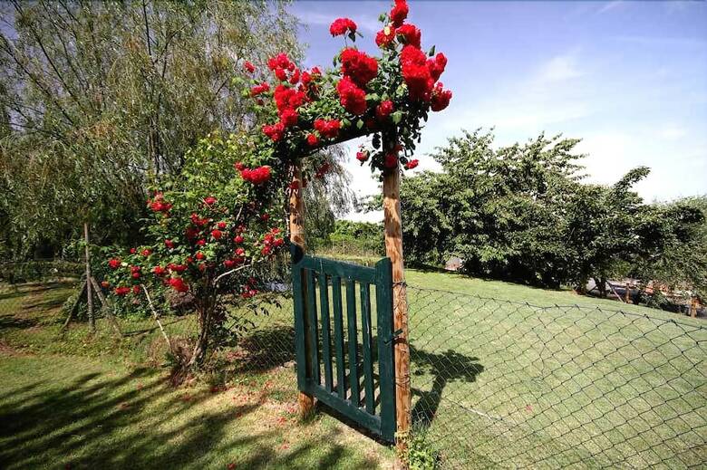 Agroturismo Agriturismo Molinuzzo