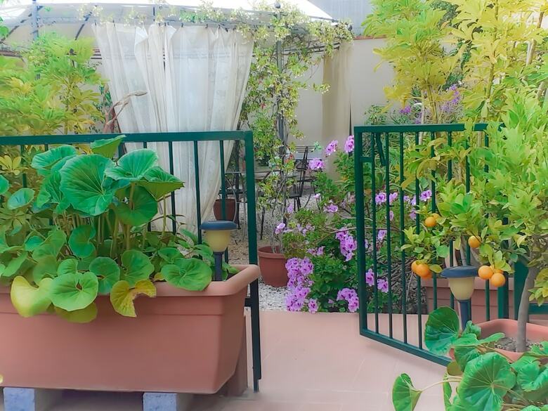 B&B Rosangela