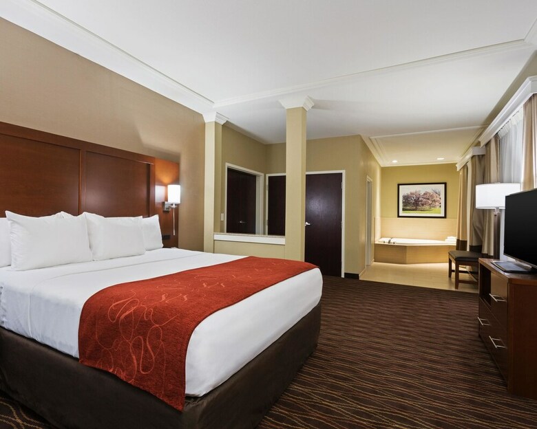 Hotel Comfort Suites
