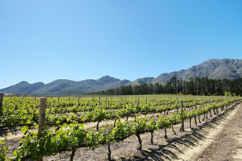 Agroturismo La Cotte Forest Cottages