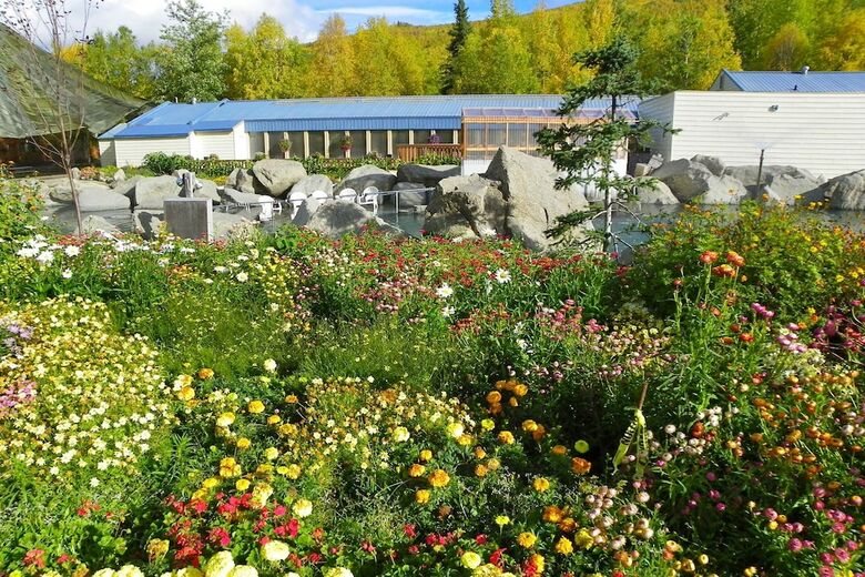 Apartamento Chena Hot Springs Resort