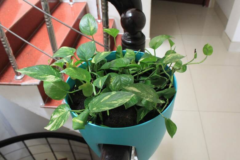 Giang Son 2 Hotel