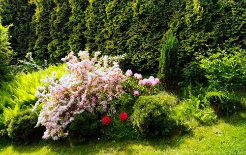 Hotel Garni