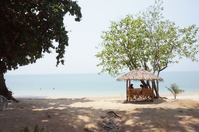 Hotel Pine Bungalow