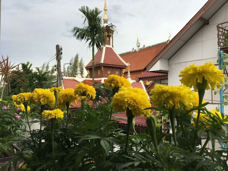 Hotel Miracle Boutique Chiang Mai