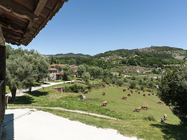 Agroturismo Quinta Do Rapozinho