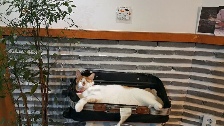 Hostal Insadong Hostel