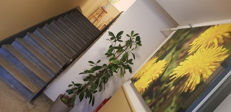Easy Living Business Apartments