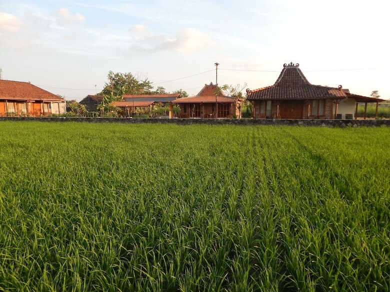 Hotel Alamanda Villa's, Adventure & Pool