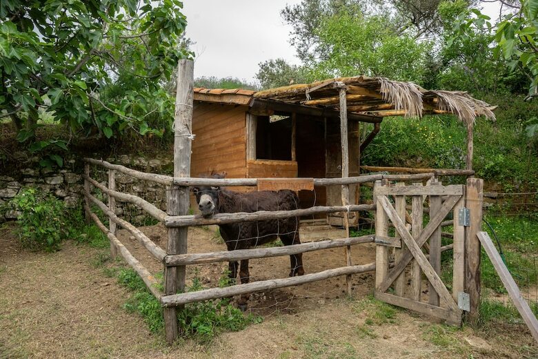 Agroturismo Country House Villa Nigro