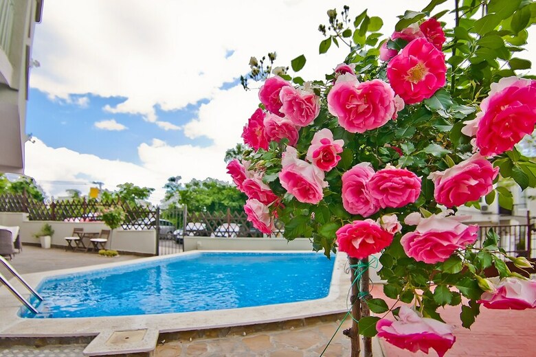 Hotel Amfora