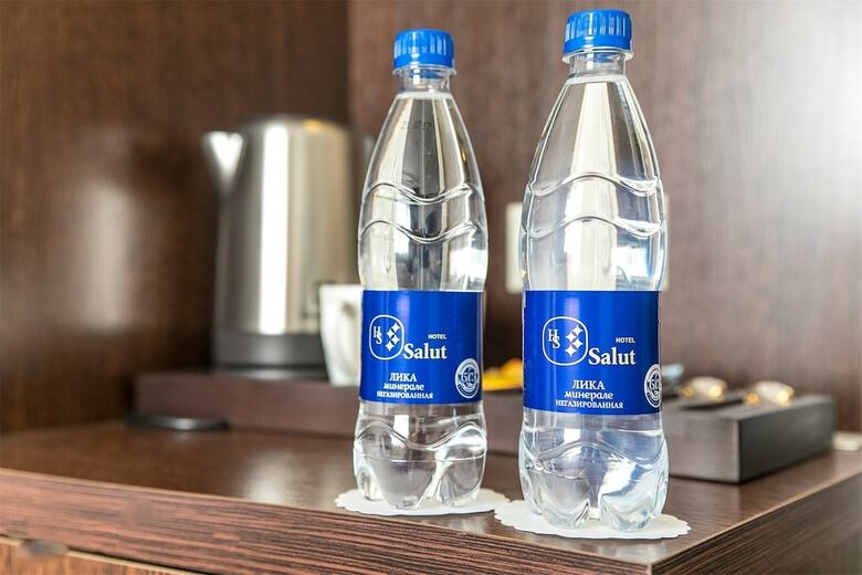 Hotel Salut