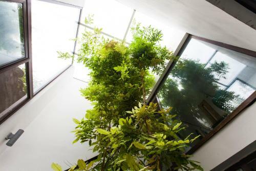 The Orchid Hotel, Beijing