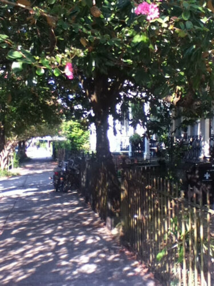 Garden District B&B