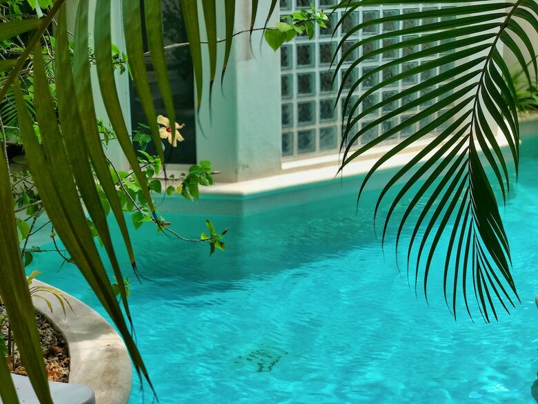Royal Palms By Bric