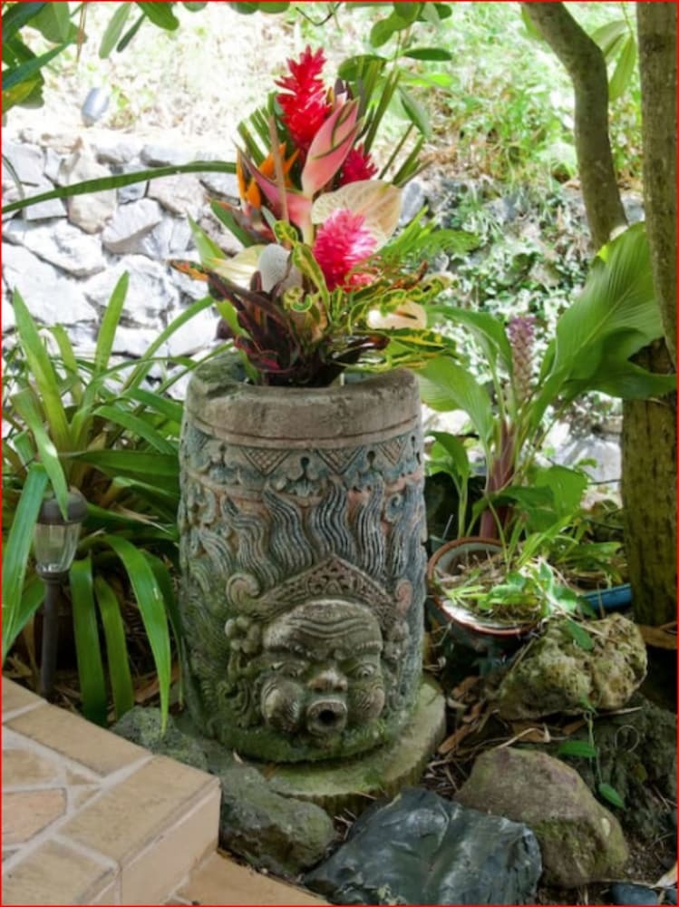 Hotel Hawaii's Hidden Hideaway Bed & Breakfast