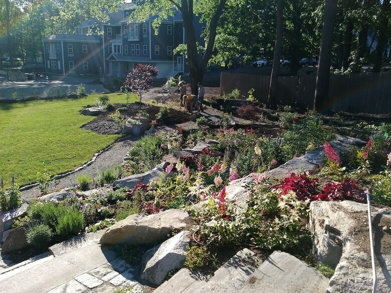 Hotel The Inn On Mount Desert