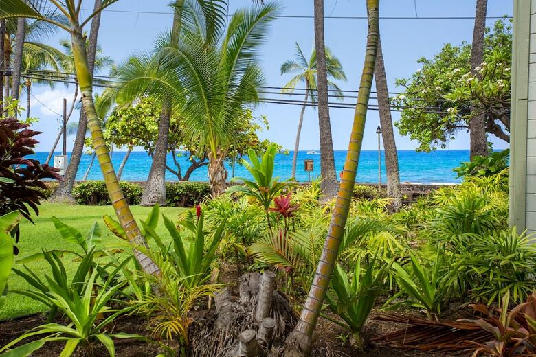 Vacation Condos In Kona