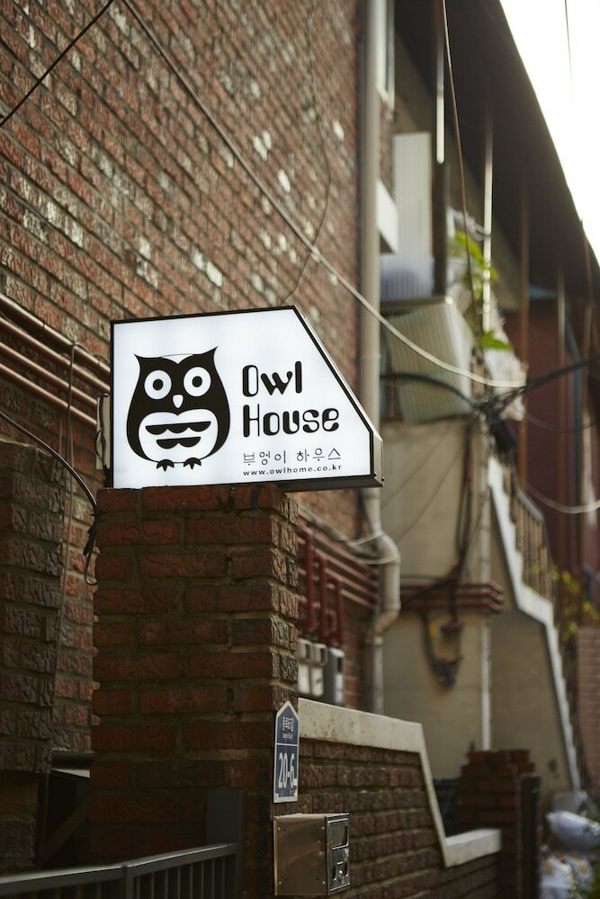 Hostal Owl Guesthouse - Hostel