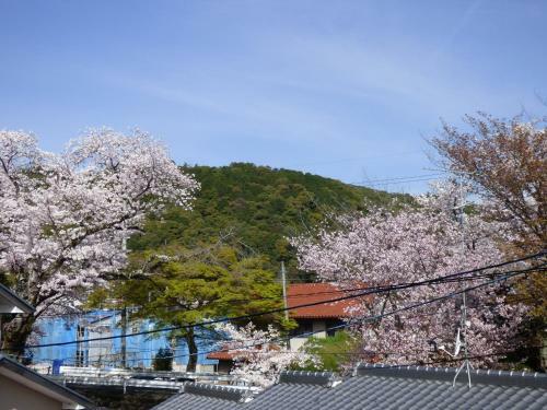 Apartamentos Saizen Matsumuro Stay