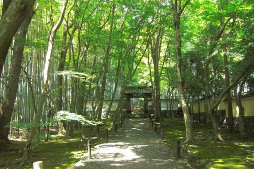 Apartamentos Saizen Matsumuro Stay