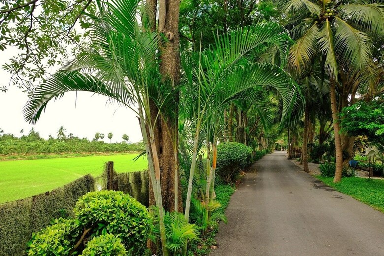 Hotel Muaan Resort