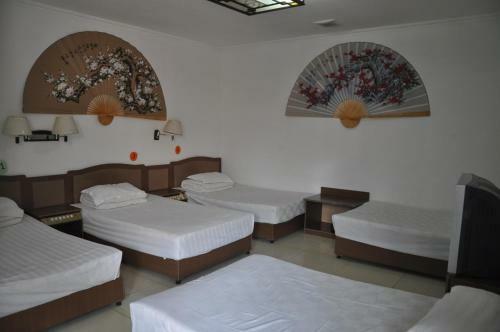 Three Legged Frog Hostel