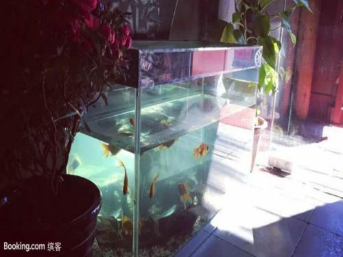 Three Legged Frog Hostel