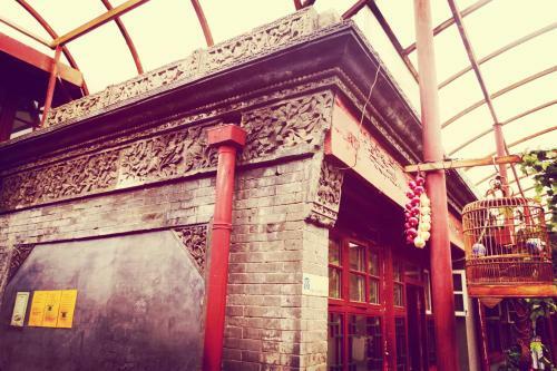 Three Legged Frog Hostel