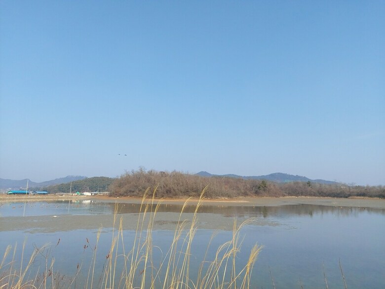Kkachiseom Pension