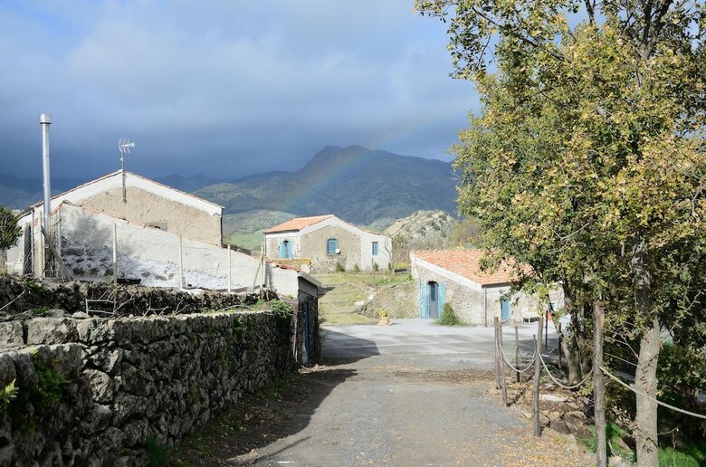 Agroturismo Il Tanaceto
