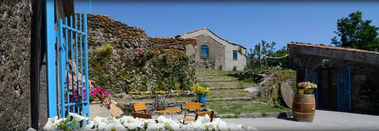 Agroturismo Il Tanaceto