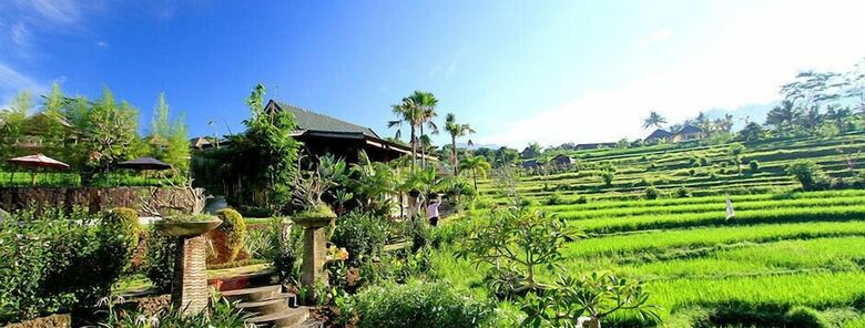 Hotel Sawah Indah Villa