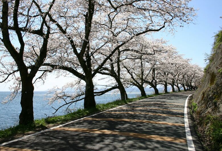 Lake Biwa Otsu Prince Hotel