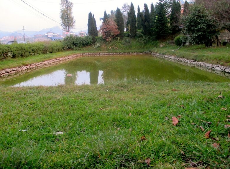 Hotel Araniko Village Resort