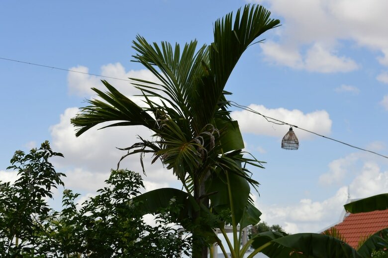 Hotel Angkor Countryside Boutique