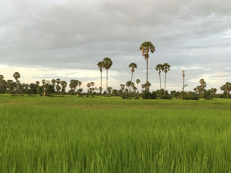 Hotel Angkor Countryside Boutique