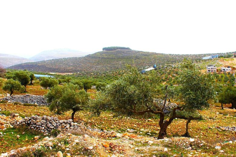 Taybeh Golden Hotel