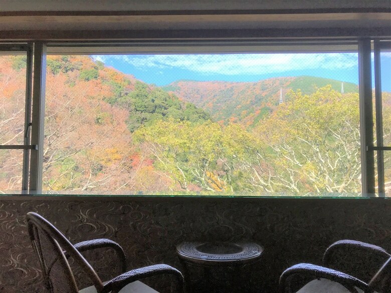 Hostal Onsen Hostel K's House Hakone