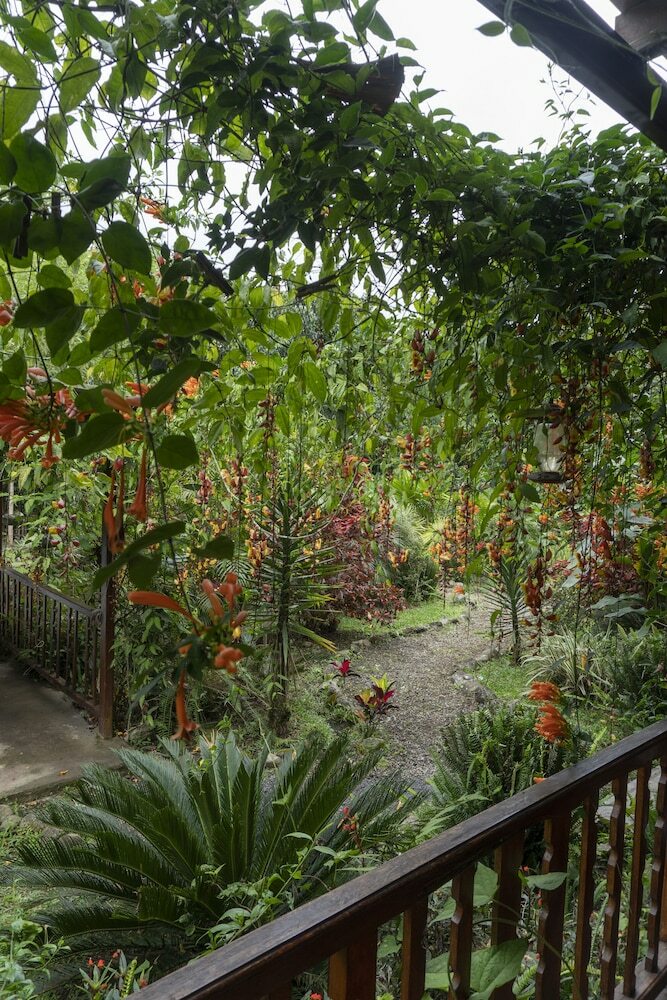 Posada Mindo Green House