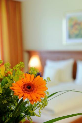 Johannesbad Vitalhotel Jagdhof