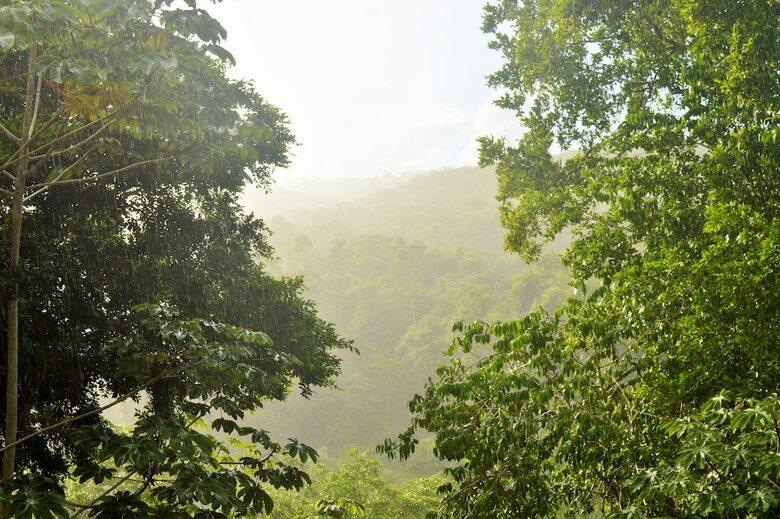 Posada Table Rock Jungle Lodge