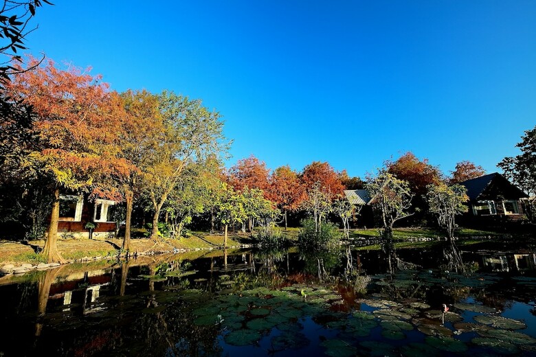 Posada Green Forest Villa