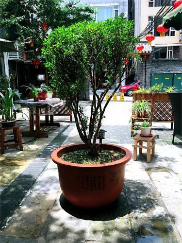Hostal Longxinfang Garden Guest House