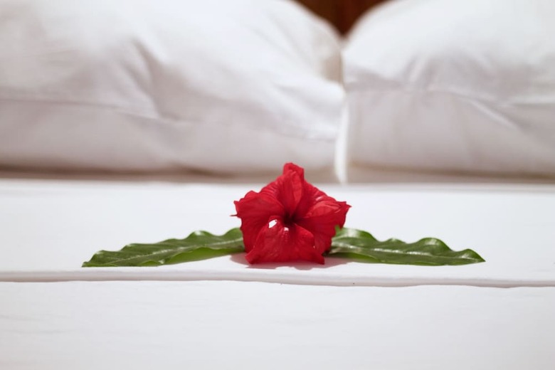 Bed & Breakfast Driftwood Resort